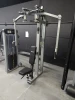 Muscle D - Sweet Prone Leg Curl