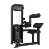 Excel Commercial Back Extension & Abdominal Combo Machine by Muscle D Fitness