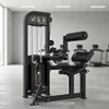 Excel Commercial Back Extension & Abdominal Combo Machine by Muscle D Fitness
