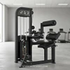 Muscle D - Excel Back / Ab Combo