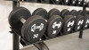 Muscle D Fitness - Pro Urethane Dumbbells