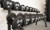 Muscle D - Pro Urethane Dumbbells