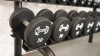 Muscle D - Pro Urethane Dumbbells