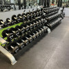 Muscle D - Pro Urethane Dumbbells