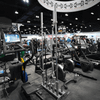 Muscle D Fitness - Olympic Bar Rack / Vertical Barbell Holder