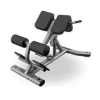 Muscle D Fitness - Commercial Hyperextension Bench