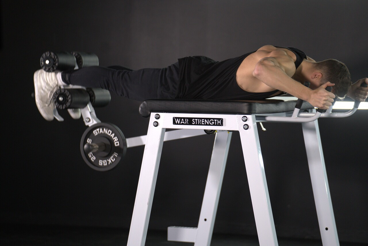 War Strength Reverse Hyper Extension | GymStore.com