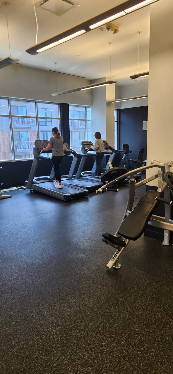 CYBEX Full Gym Pacakge Deal - Cybex Strength & Cardio Dumbbells & More 