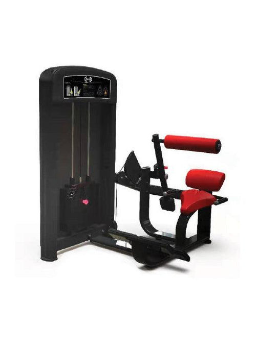 Elite Selectorized Low Back Extension Machine