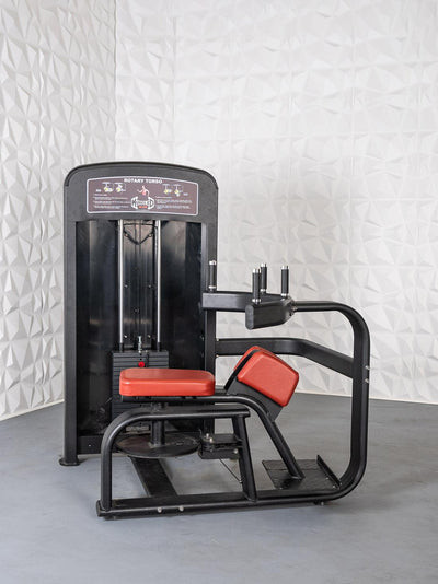 Muscle D - Elite Series Selectorized Rotary Torso Machine