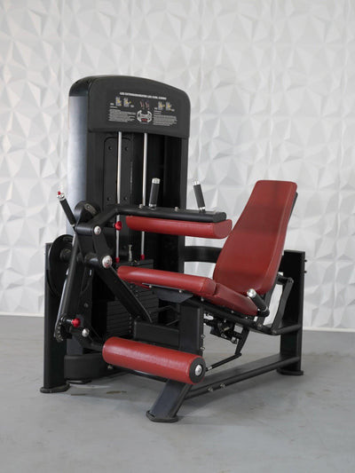 Elite Selectorized Leg Extension & Seated Leg Curl Combo Machine