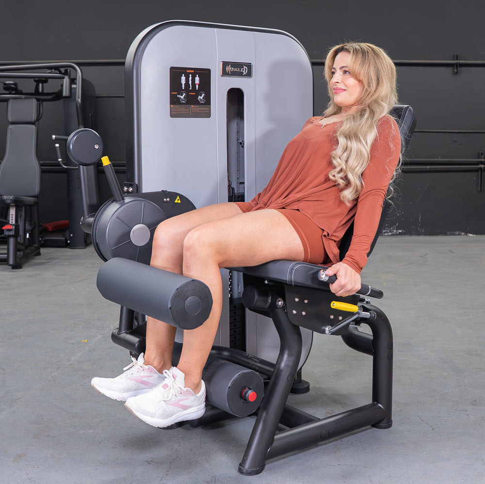 Vogue Seated Leg Curl by Muscle D Fitness