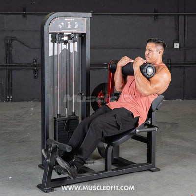 Muscle D Fitness - Classic V2 Back / Abdominal Combo Machine