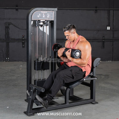 Muscle D Fitness - Classic V2 Back / Abdominal Combo Machine