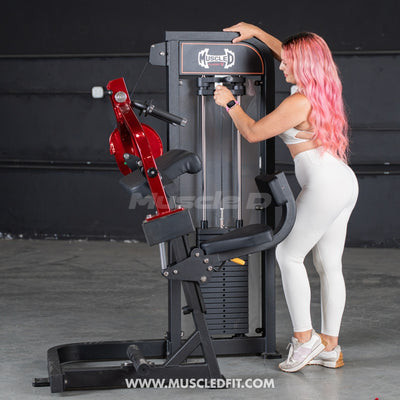 Muscle D Fitness - Classic V2 Selectorized Triceps Extension Machine