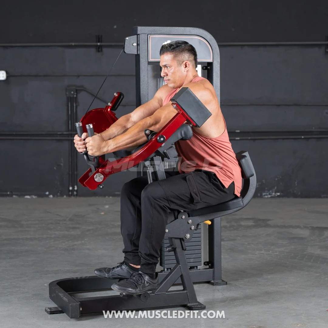 Muscle D Fitness - Classic V2 Selectorized Biceps Curl Machine