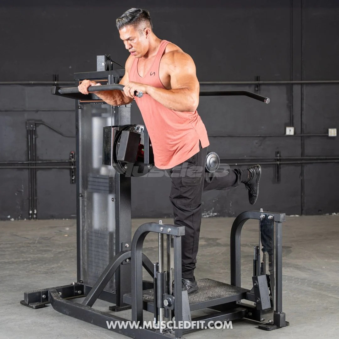 Muscle D Fitness - Classic V2 Multi-Hip Selectorized Machine