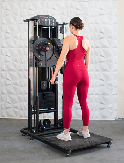 Classic V2 Muscle Flight Trainer / Pec Fly & Rear Delt Machine by Muscle D Fitness
