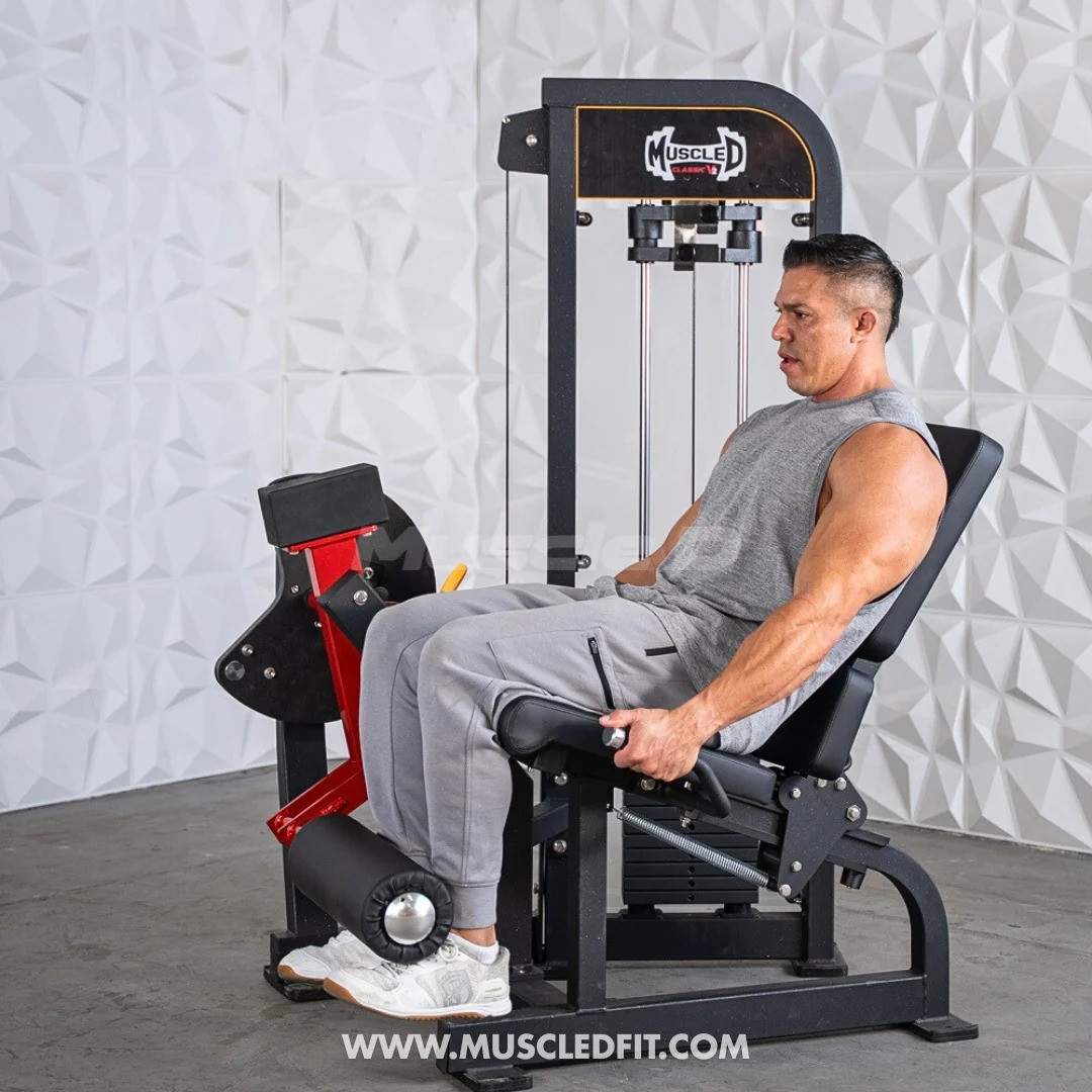Muscle D - Classic V2 Selectorized Leg Extension Machine
