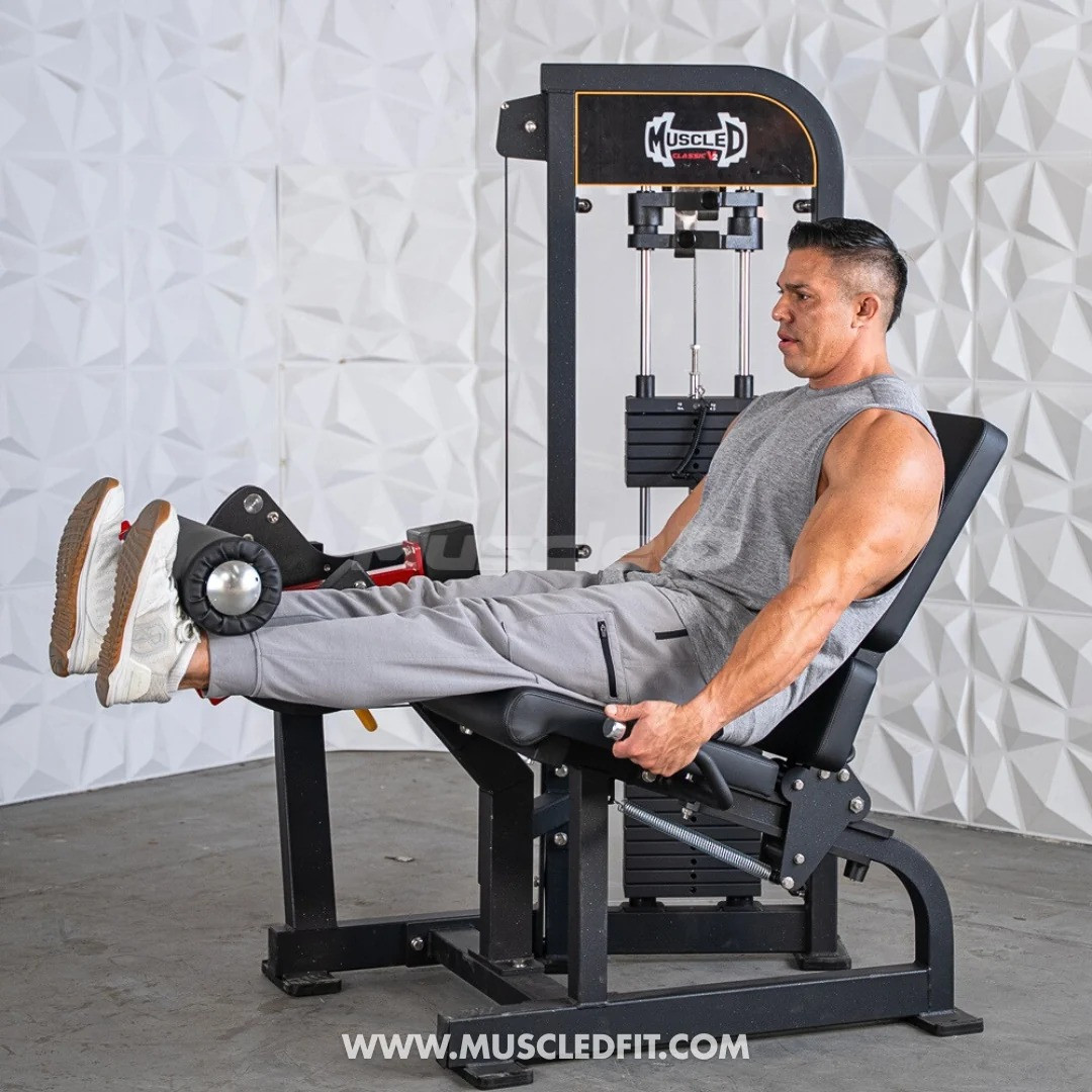 Muscle D Fitness - Classic V2 Selectorized Leg Extension Machine