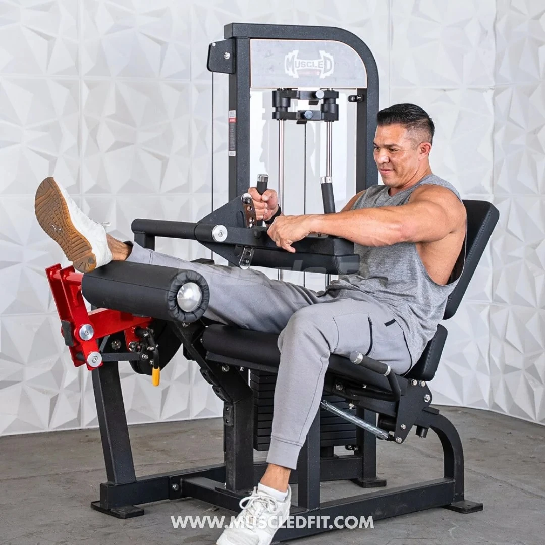Muscle D - Classic V2 Leg Extension / Seated Leg Curl Combo Machine