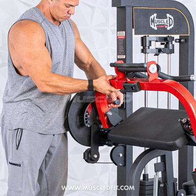 Classic V2 Selectorized Biceps / Triceps Combo Gym Machine by Muscle D Fitness
