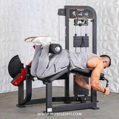 Classic V2 Selectorized Prone Leg Curl Machine by Muscle D Fitness