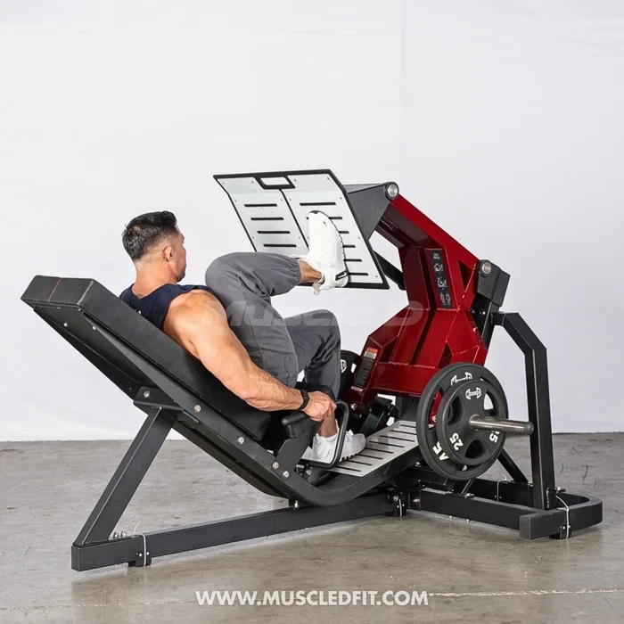 Muscle D - Pro Strength Squat Press / Leg Press