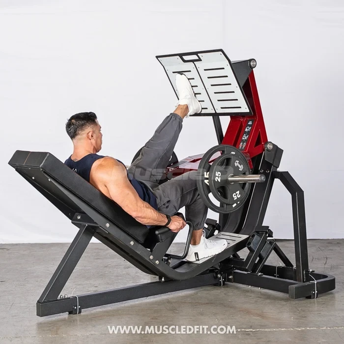 Muscle D - Pro Strength Squat Press / Leg Press