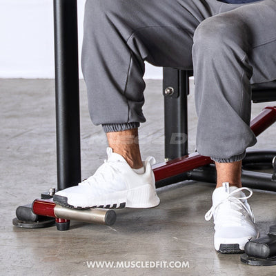 Pro Strength Overhead Triceps Extension Machine by Muscle D Fitness