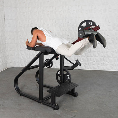Muscle D Fitness - Pro Strength Reverse Hyper