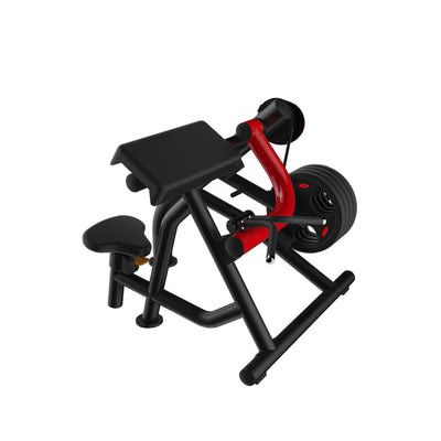 Power Leverage V2 Biceps Curl Machine by Muscle D Fitness