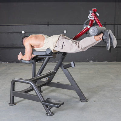 Power Leverage V2 Reverse Hyper Machine by Muscle D Fitness