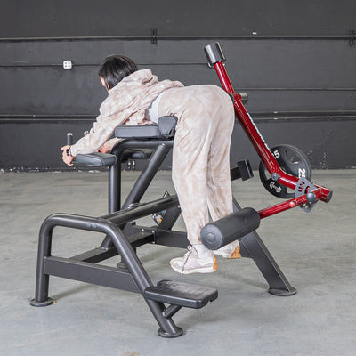 Power Leverage V2 Reverse Hyper Machine by Muscle D Fitness