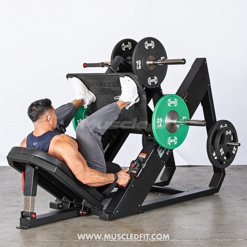Muscle D - Excel Linear Leg Press