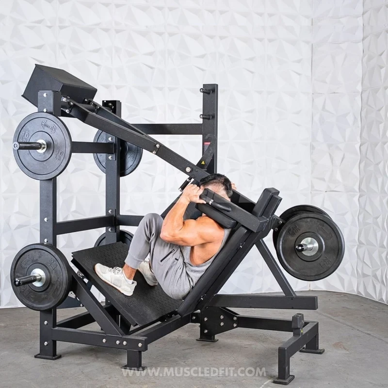 Muscle D - Excel Counterbalanced Pendulum Squat Machine