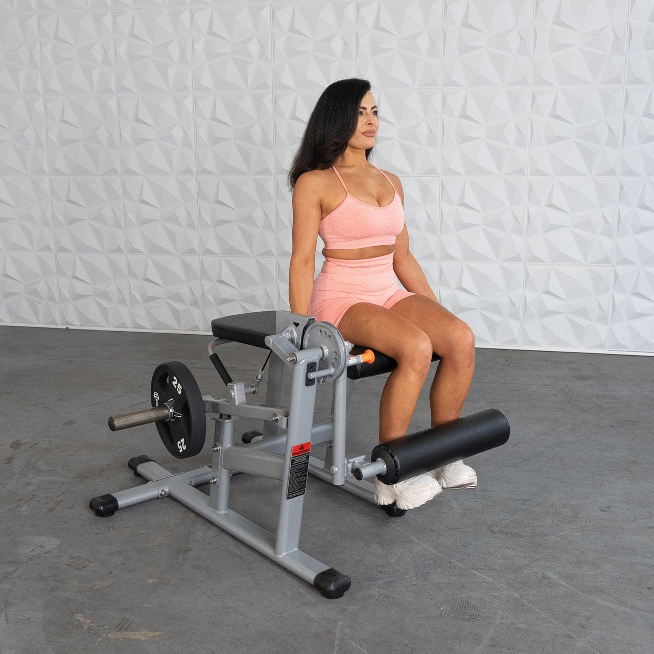 Muscle D  - Excel Base Leg Extension / Leg Curl Combo Machine