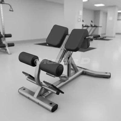 Muscle D Fitness - Commercial Hyperextension Bench
