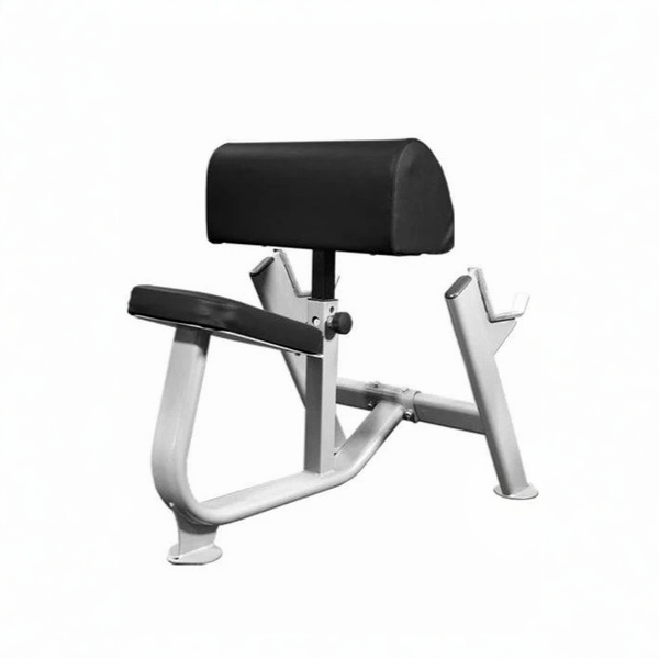 Muscle D - Commercial Preacher Curl Bench