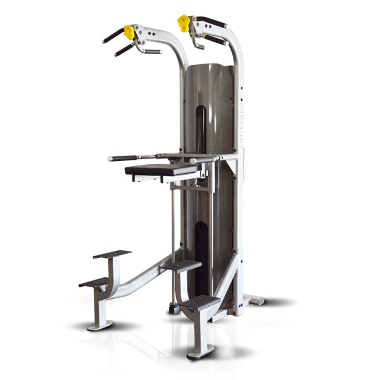Inflight Fitness Chin Up Dip Assist Combo