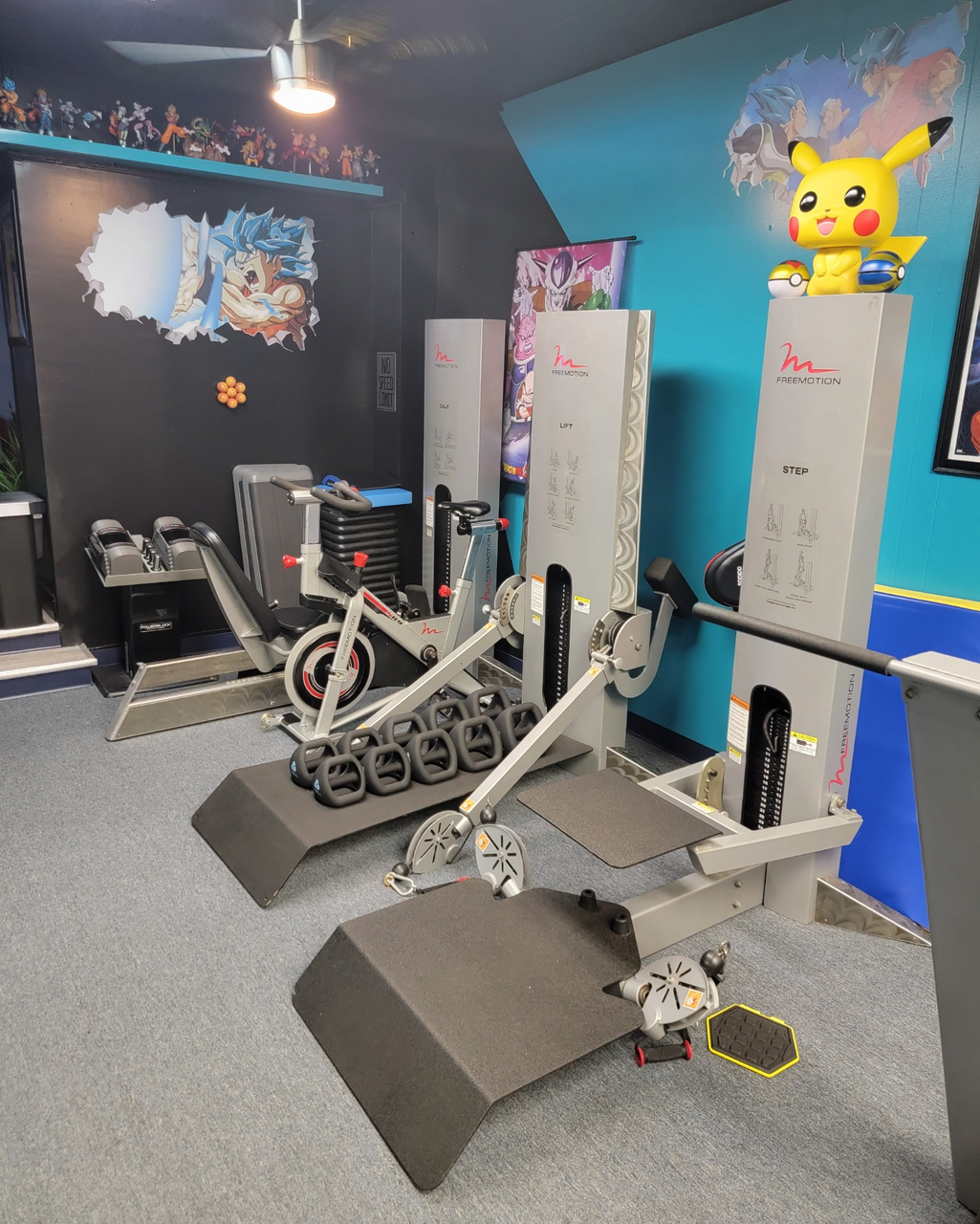 FreeMotion 11 PC Strength Circuit - Total Body Gym Package FreeMotion 11 PC Strength Circuit - Total Body Gym Package