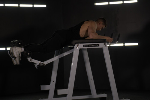 War Strength Reverse Hyper Extension | GymStore.com