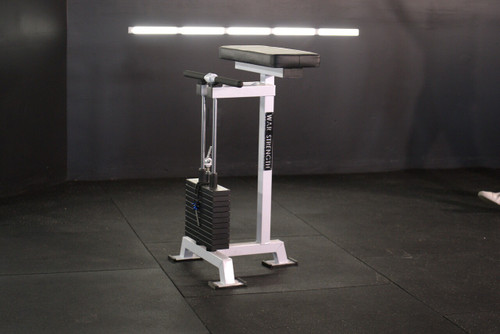 War Strength Forearm Curl