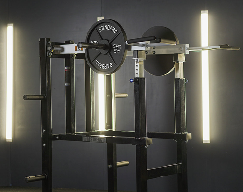 War Strength Standing Shoulder Press Viking Press