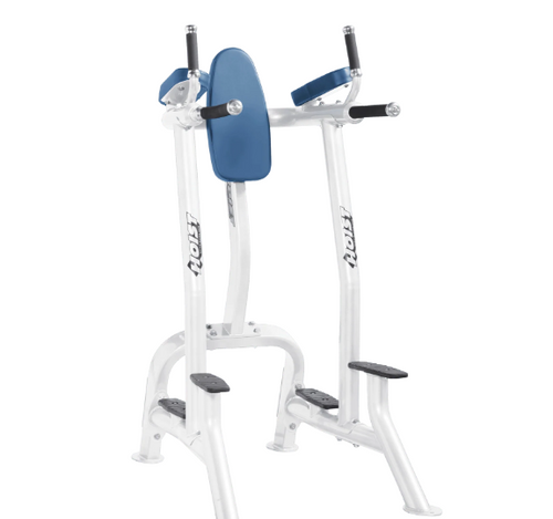 Hoist Vertical Knee Raise / Dip | GymStore.com