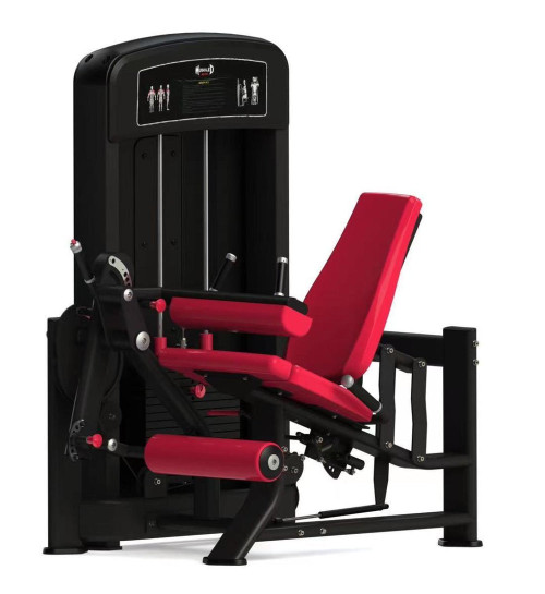 Muscle D - Elite Series Selectorized Leg Extension / Seated Leg Curl Combo Machine