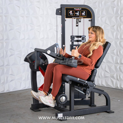 Muscle D Fitness - Classic V2 Selectorized Seated Leg Curl Machine
