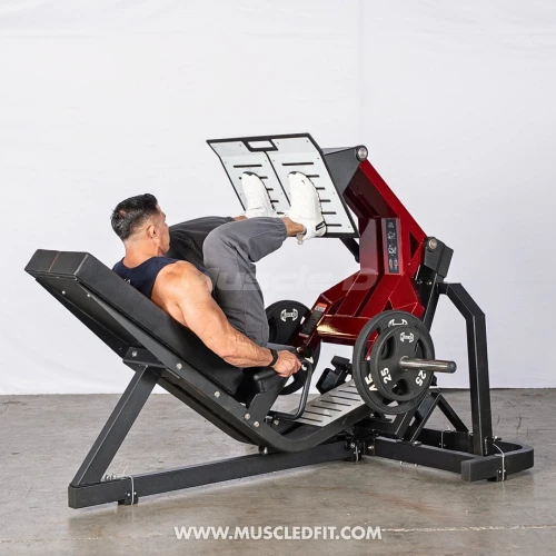 Pro Strength Squat Press / Leg Press Combo Machine by Muscle D Fitness