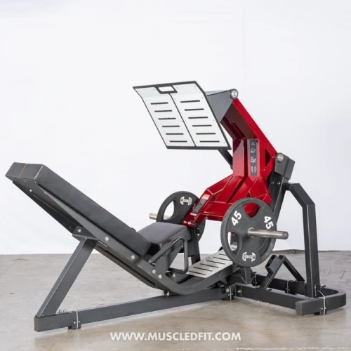 Muscle D - Pro Strength Squat Press / Leg Press