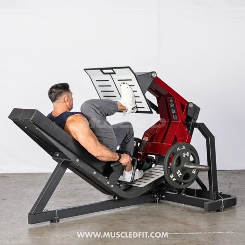 Muscle D - Pro Strength Squat Press / Leg Press